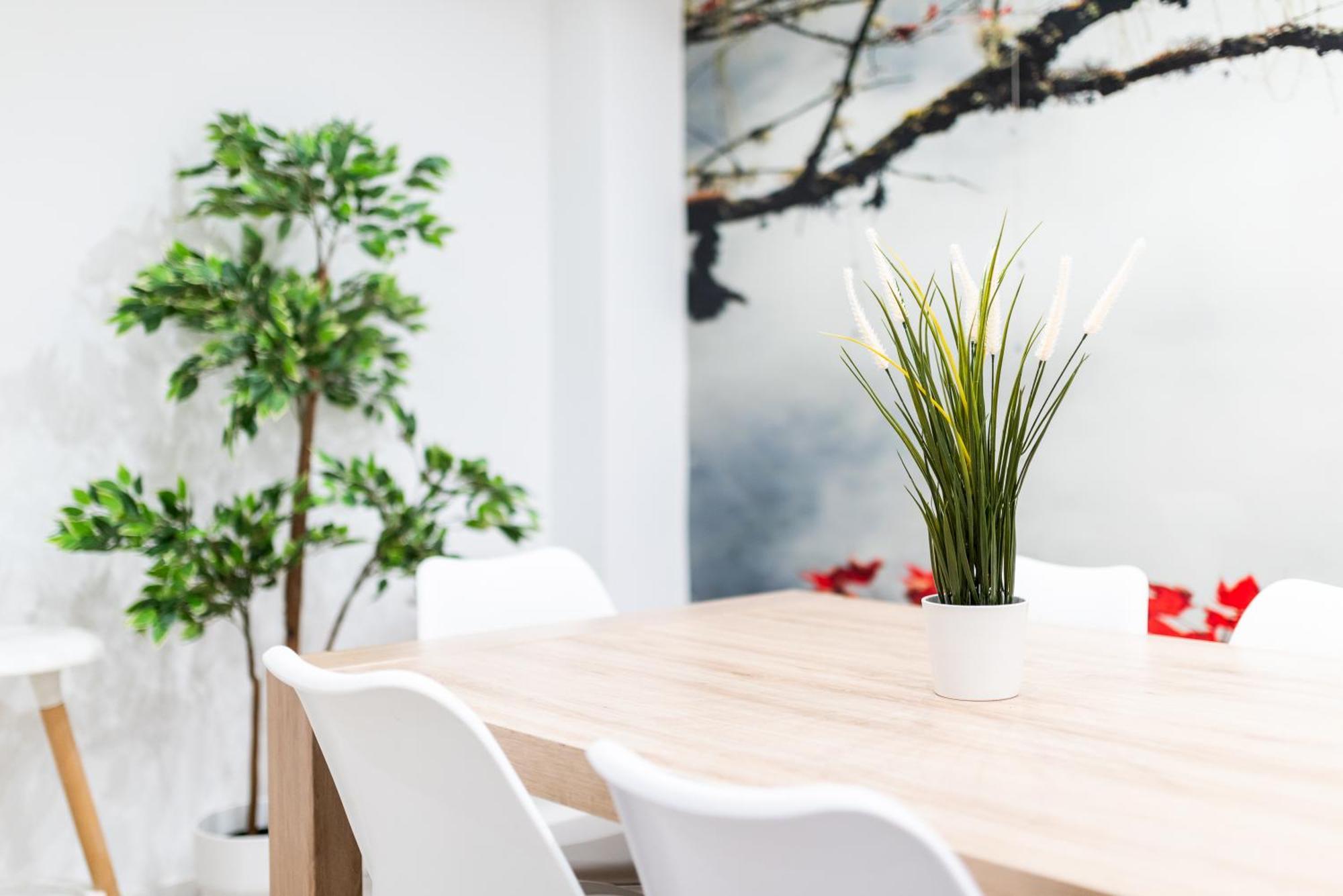 Wekey Homes Granada, Elvira Suites Centro 外观 照片